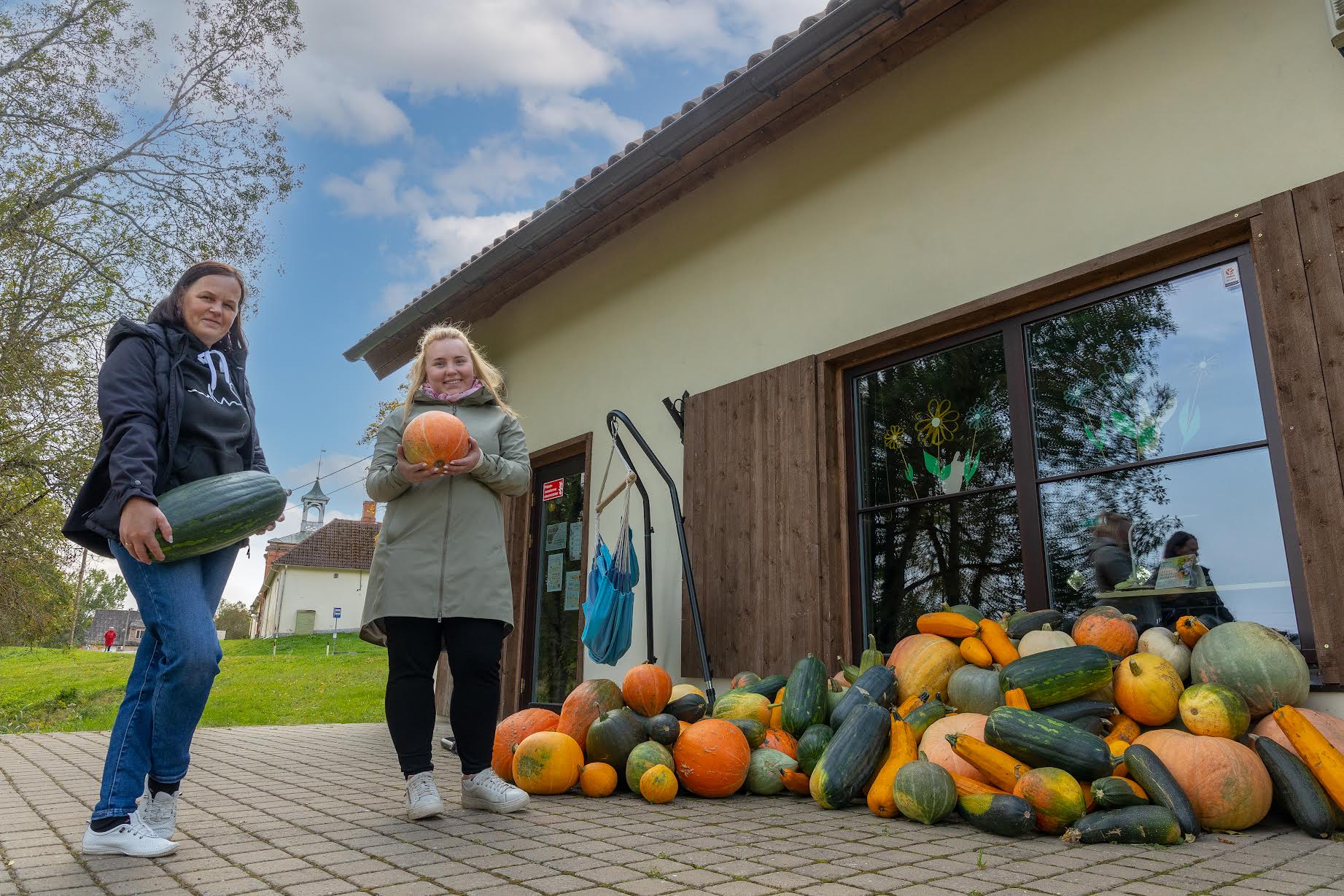 Võrumaa kõrvitsad katavad pealinnas loomade toidulaua